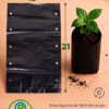 13 X 21 CON FUELLE cms