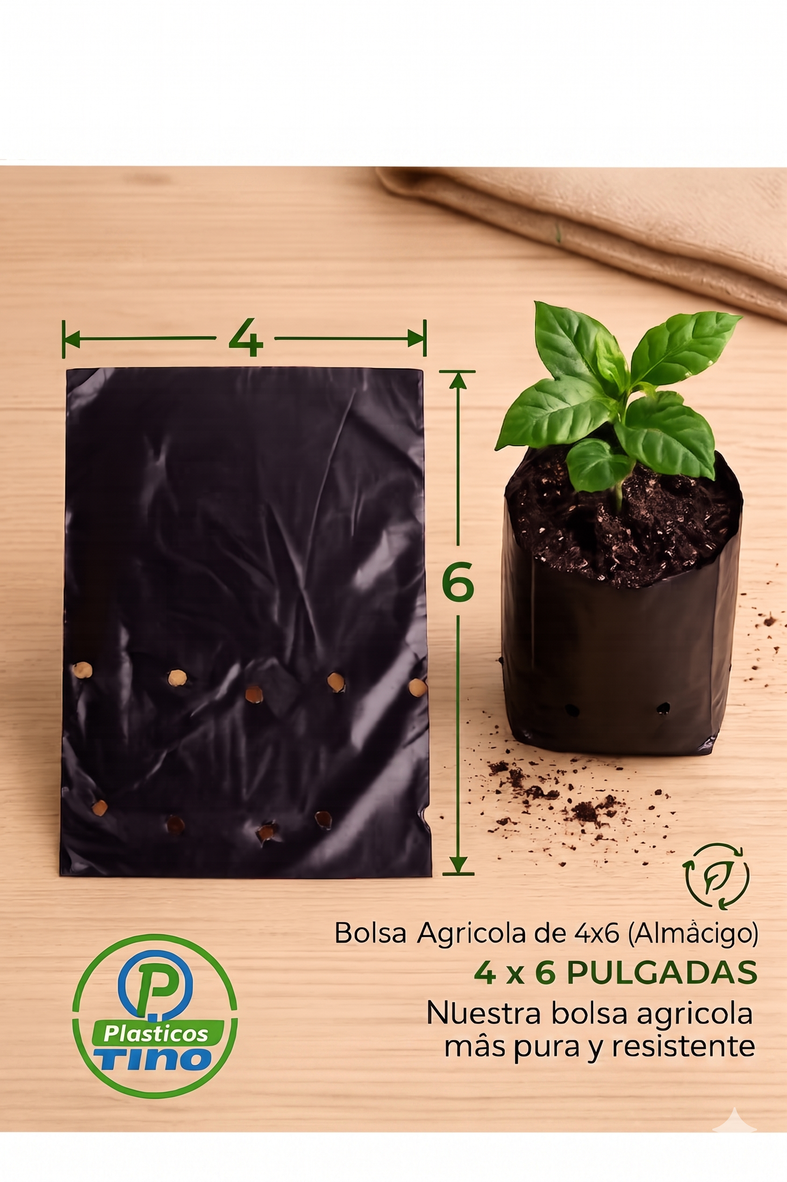 4 X 6 ALMACIGO