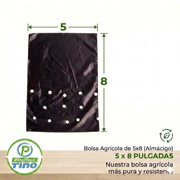 5 X 8 X 200 ALMACIGO