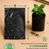 5 X 9 ALMACIGO