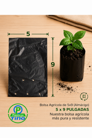 5 X 9 ALMACIGO