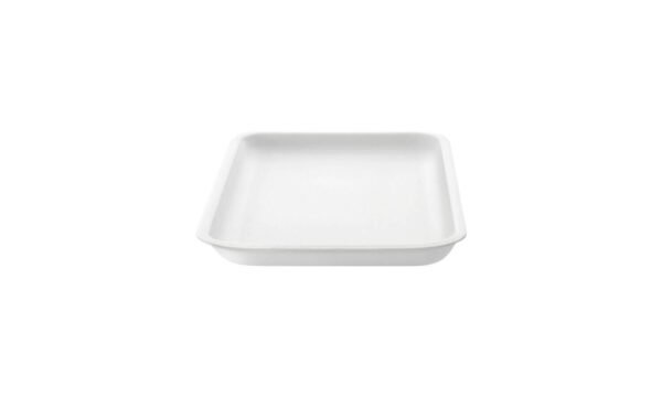 BANDEJA # 10