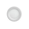 PLATO PANDO 15.5