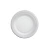 PLATO PANDO 18