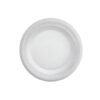 PLATO PANDO 20