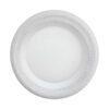 PLATO PANDO 23 (SECO)