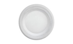 PLATO PANDO 23 (SECO)