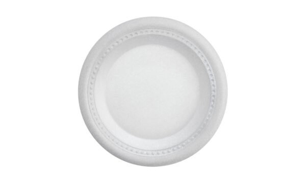PLATO PANDO 23 (SECO)