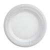PLATO PANDO 26