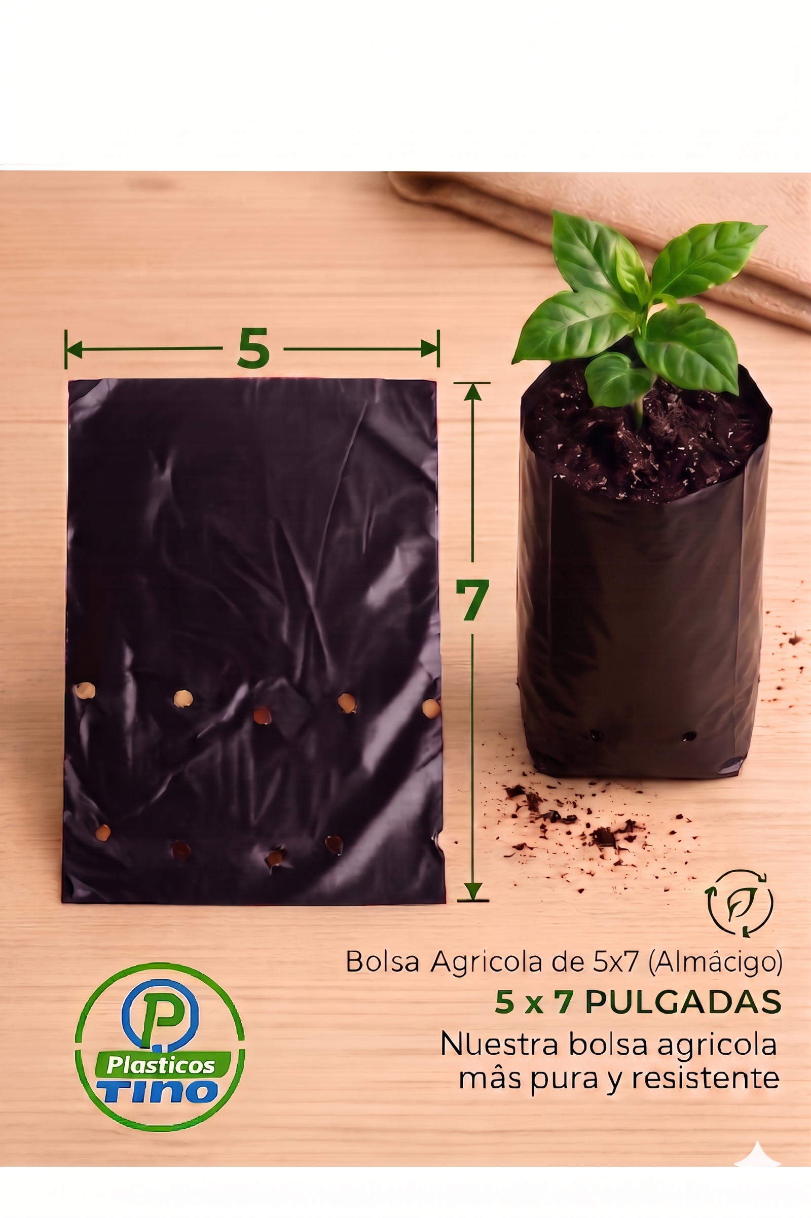 5 X 7 X 200 ALMACIGO